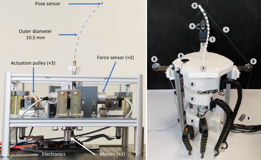 Continuum Robots